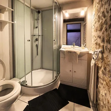 Demeure De Charme 250 M2 - 5 Suites- Parc Arbore 4500 M2 Prázdninový dům